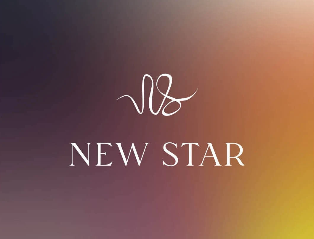 New Star project overview